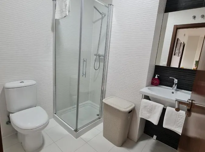 Atico De Lujo En El Centro De * Burgo